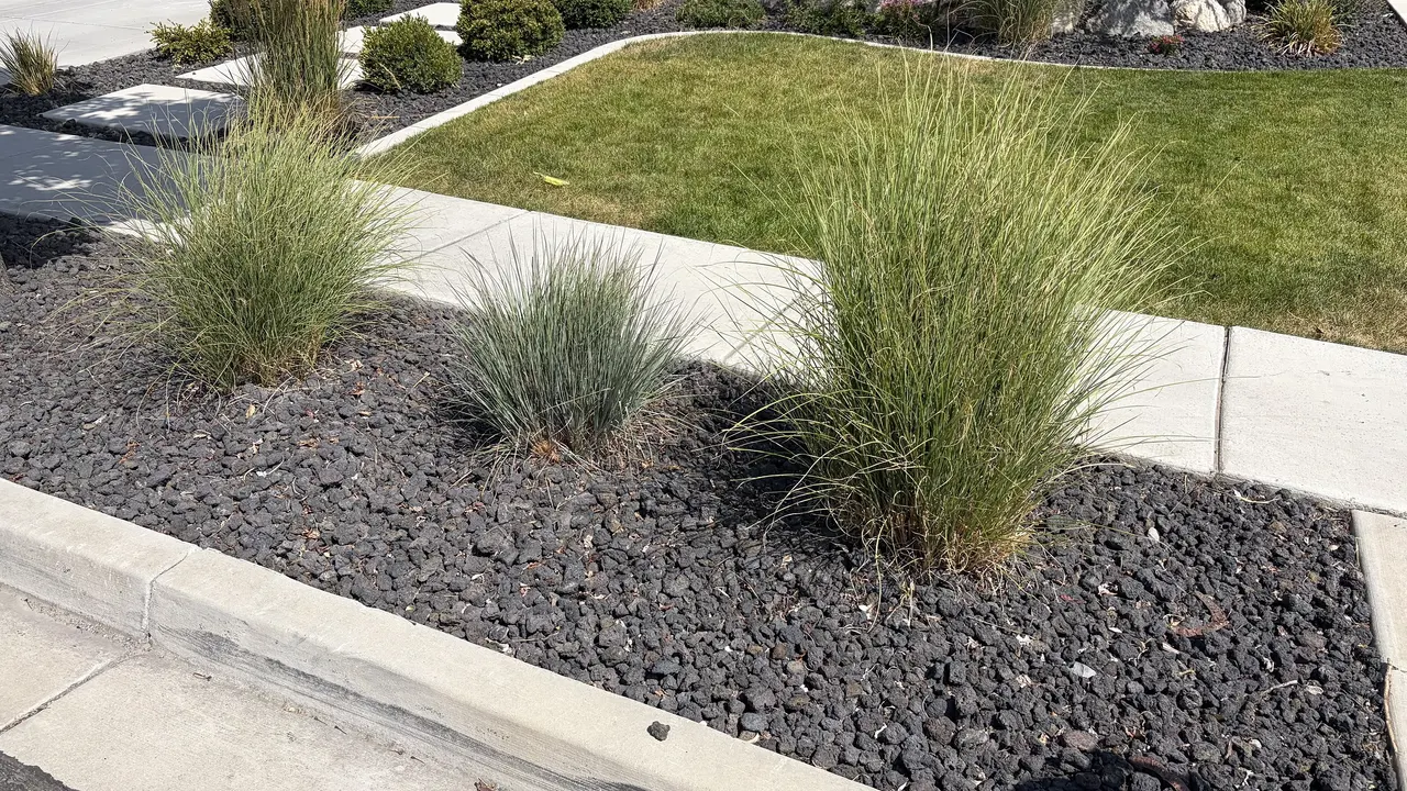 Local Park Strip Specialists Serving Utah County — We help homeowners turn a hard-to-manage strip of grass into something cleaner, easier, and better looking.