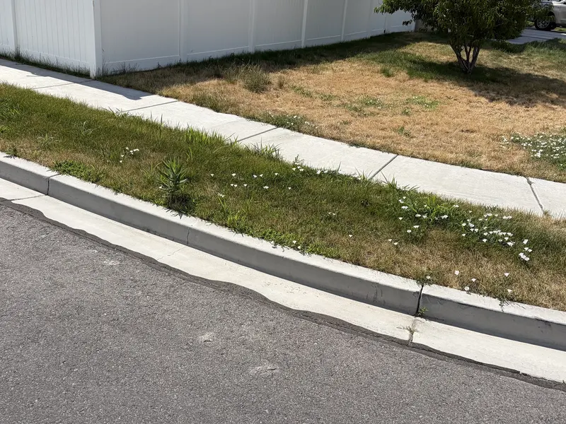 Before: Dry Corner Strip