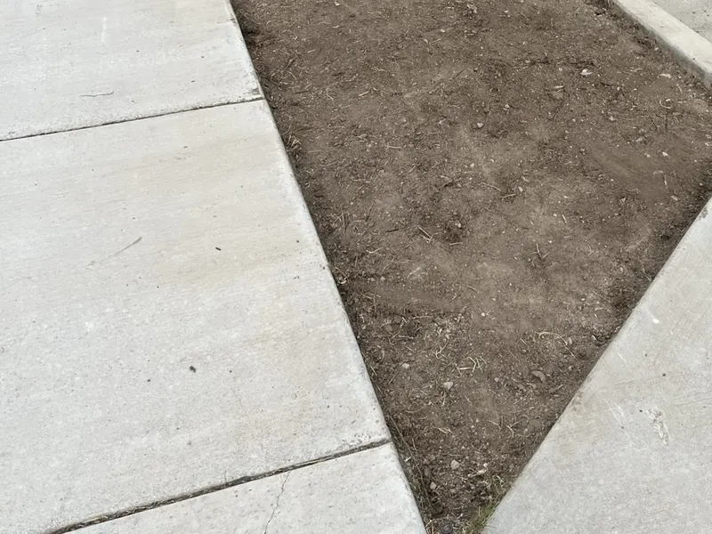 Preparation: Turf Removed