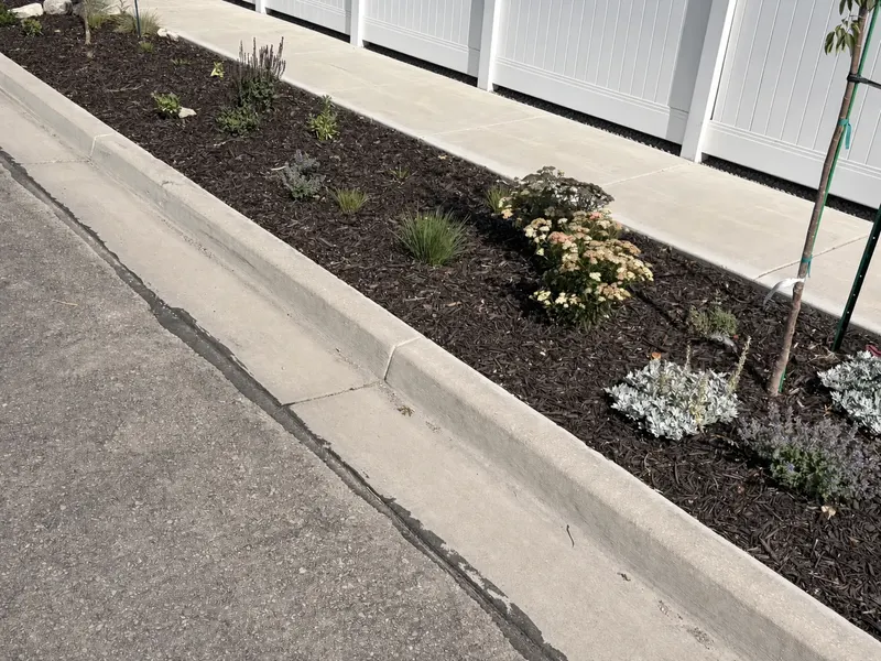 Finished: Mulch and Perennials