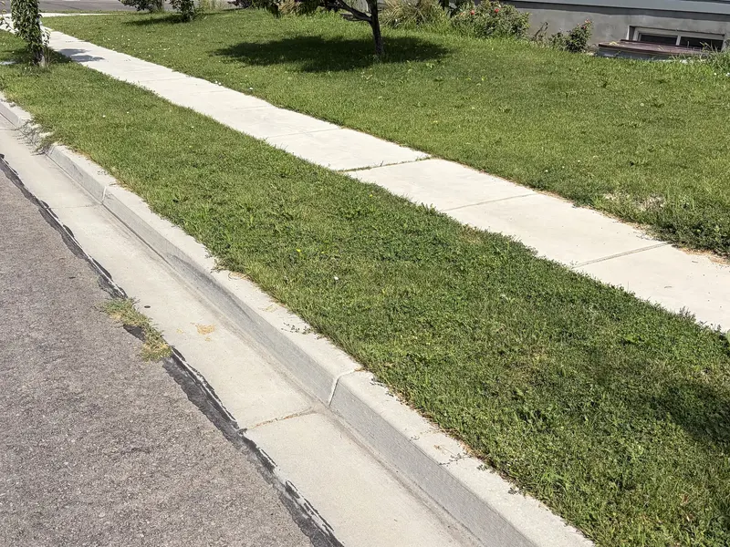 Before: Established Curbside Lawn