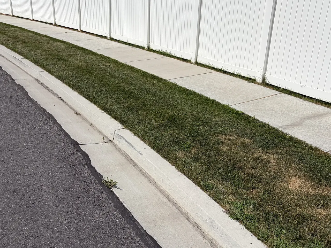 Before: Fence-Line Turf. A long grass strip beside a white fence before conversion to a planted, mulch-covered bed.