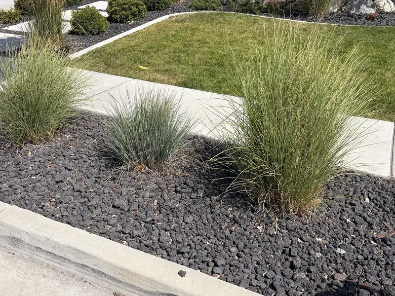 Finished Detail: Rock and Mature Grasses